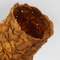 <a href=https://www.galeriegosserez.com/gosserez/artistes/l-c-lab.html> L&C Lab</a> - Biomater - Orange Vase